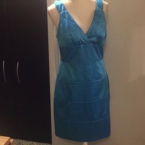 Bisou Bisou beautiful dress Sz 12